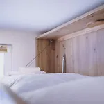Panorama Schmittendrin By We Rent Zell am See