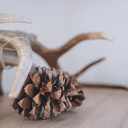 Σαλέ Panorama Schmittendrin By We Rent *