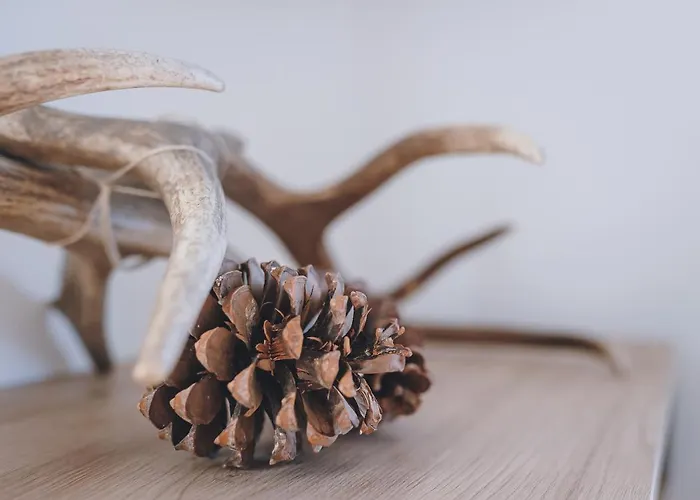 Alpehytte Panorama Schmittendrin By We Rent *